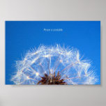 One posters