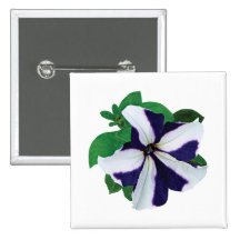One Purple and White Petunia Buttons