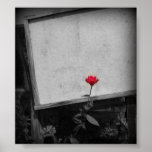 One Red Flower Poster