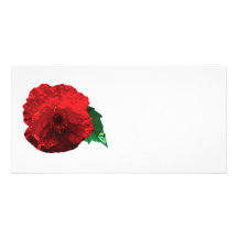 One Red Poppy Photo Card