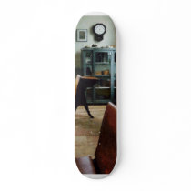 One Room Schoolhouse Skate Decks