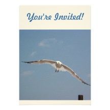 One Seagull Flying in Air Announcements