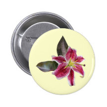 One Stargazer Lily Pins