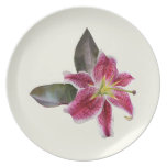One Stargazer Lily Plate