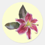 One Stargazer Lily Round Sticker