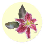 One Stargazer Lily Round Sticker