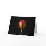 One Tulip - Card