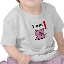 One year old birthday baby (pink pig)