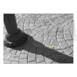 one yellow petal card