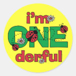ONEderful Ladybug 1st Birthday Round Stickers