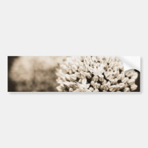 Onion flowers bumper stickers