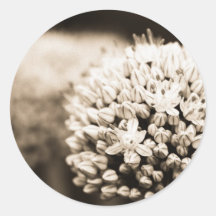 Onion flowers stickers