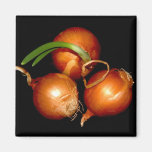 Onion Magnet