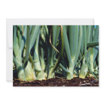 Onions, Grand Bend, Ontario, Canada Invites