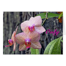 Only an Orchid Card
