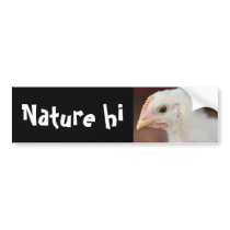 only chick bumper stickers