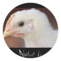 only chick stickers