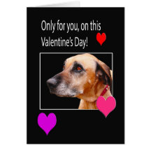 Only For You On Valentine's Rhodesian Ridgeback Greeting Card