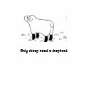 Only sheep need a shepherd. t-shirts
