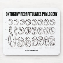 Ontogeny Recapitulates Phylogeny (Biology) Mousemats