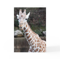 Oooh, somebody's getting older! greeting card