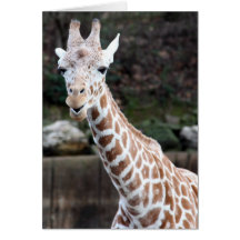 Oooh, somebody's getting older! greeting card