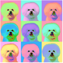 Op Art - Bichon Frise