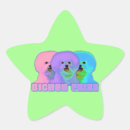 Op Art - Bichon Frise Star Stickers
