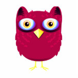 Opal Owl photo sculptures