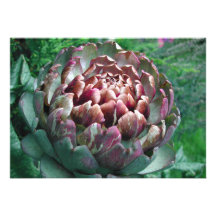 Open Artichoke Plant. Personalized Announcement