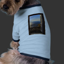 Open door pet clothing