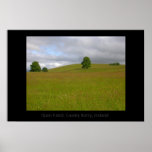 Open Field posters