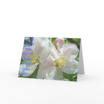 Open OPEN Open Cards quality Apple Blossoms