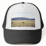 Open Range Hat