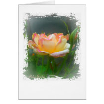 Open Rose cards