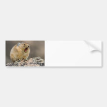 Open Wide Bumper Sticker