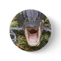 Open Wide! Florida Alligator