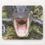 Open Wide! Florida Alligator mousepads