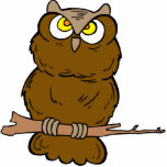 Opera Owl photo sculptures