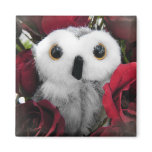 Ophelia & The Vintage Roses magnets