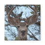 Opinionated Deer Magnet