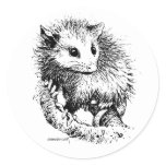 Opossum Stickers