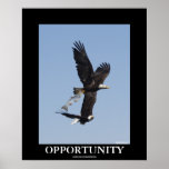 Opportunity Bald Eagles Motivational Photo Poster posters