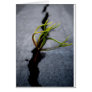 Opportunity Greeting Cards