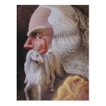 Optical Illusions Post Card