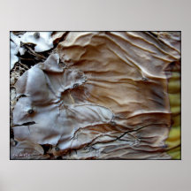 OpunzArt Plakate
