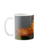 "Orange African Daisy" mugs