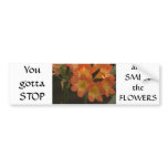 Orange Amaryllis Bumper Stickers