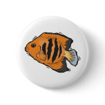 orange and black angelfish pinback button