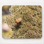 Orange and Black Beetle Mouse Pad